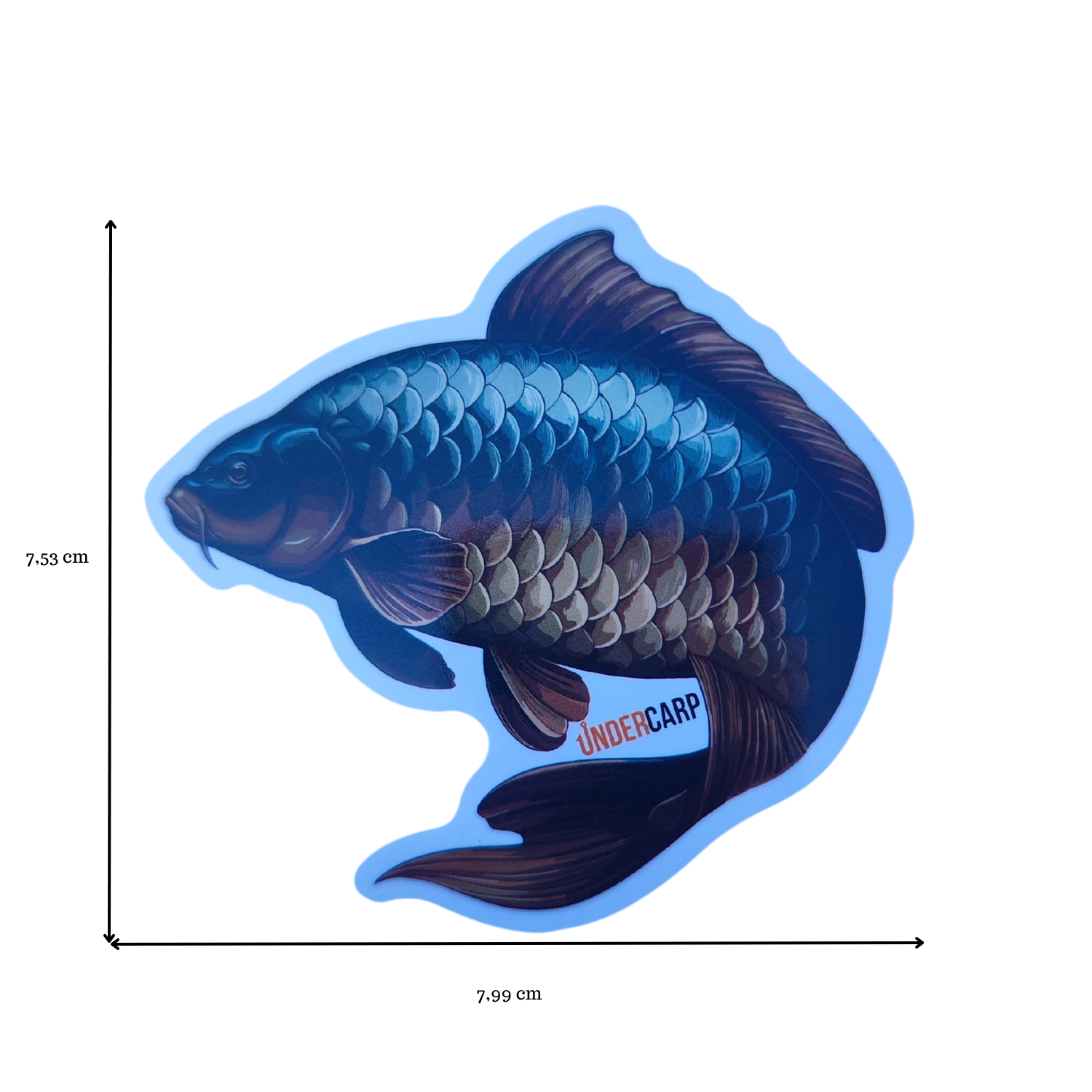 naklejka-wędkarska-karp-ryba-wymiary